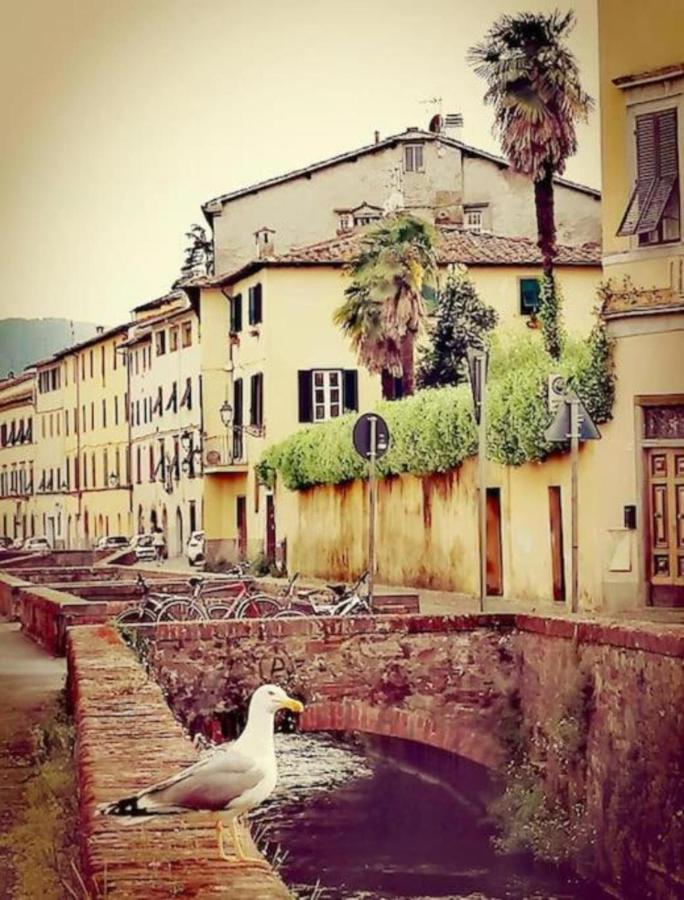 Lo Stellario Di Lucca Appartement Buitenkant foto